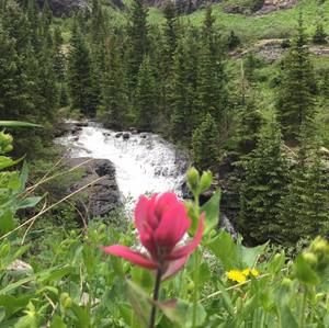 Meet your Posher, Arcelia